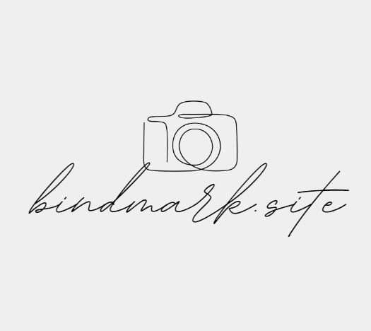 bindmark.site